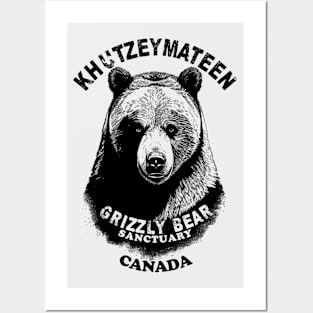 Khutzeymateen Grizzly Bear Sanctuary Posters and Art